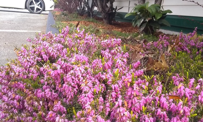 Friday Harbor Hotel | The Orca Inn