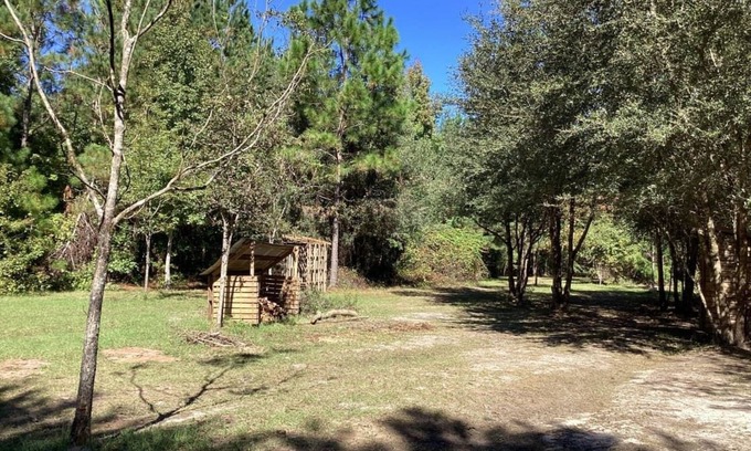 Tallahassee Alquiler De RV | THE ORCHARD disperse primitive site