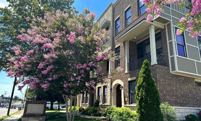 Nashville Casa | THE PAINTED MUSE I Stylish 3BR with Rooftop Hot Tub in East Nashville