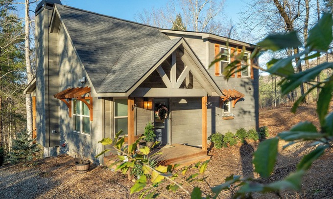 Suches Cabina | The Painted Peak - Free Breakfast Fast WiFI New Build