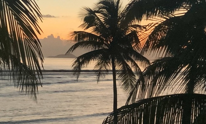 La Grande Princesse Complejo | The Palms at Pelican Cove