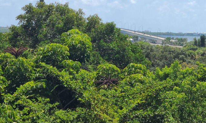 Jensen Beach Cabaña | The Palms is secluded & view of the intercoastal.