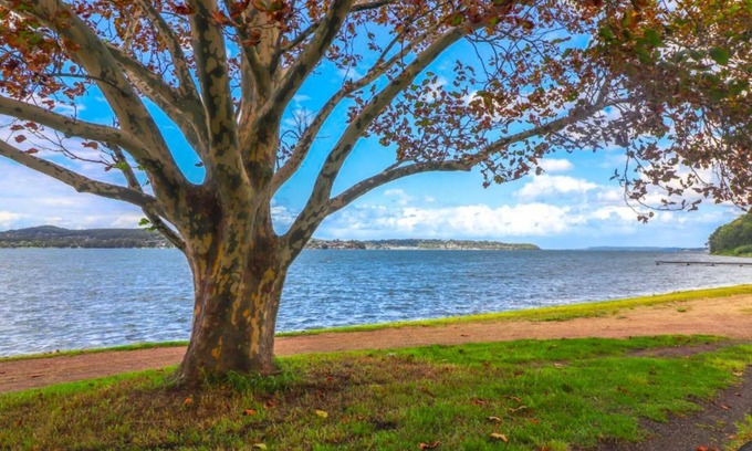 Marmong Point Casa | The Pelicans Rest - Close to boat ramp and marina