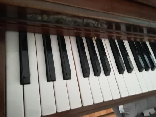 Zavalatica Apartamento | The Piano Apartment