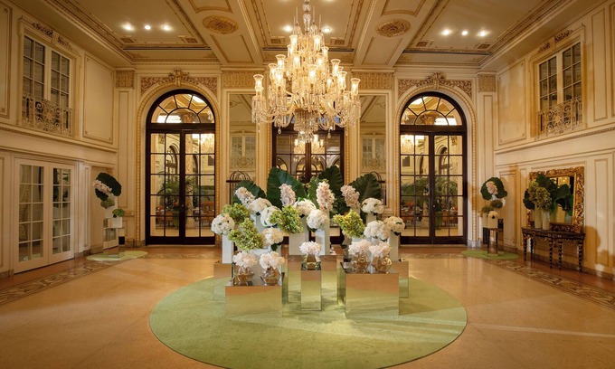 Central Park South Hotel | The Plaza - A Fairmont Managed Hotel