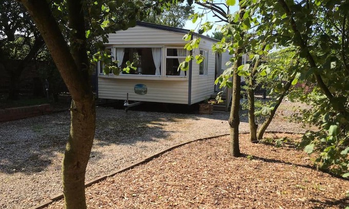 Ormskirk Otro | The Pony Pad