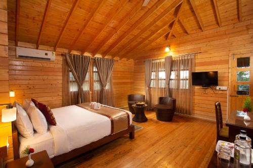 Polibetta Complejo | The Porcupine Castle Resort