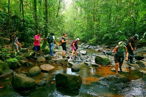 Pitabeddara Hotel | The Rain Forest