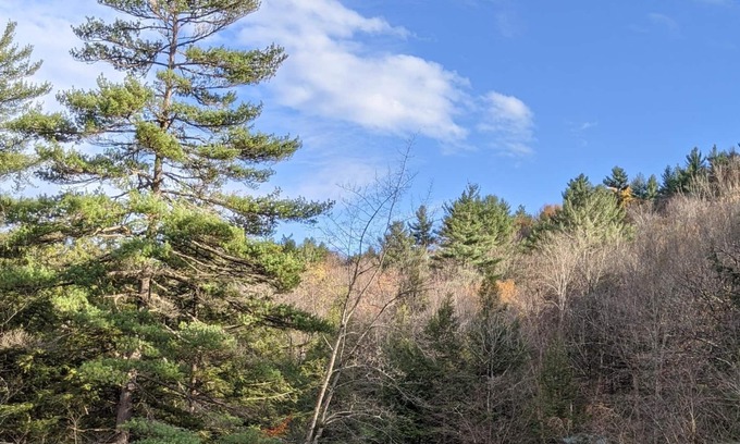 Glenfield Cabina | The River Pines