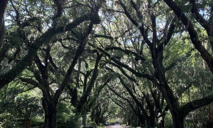 Riverland Terrace Apartamento | The Riverland Loft in Charleston, SC