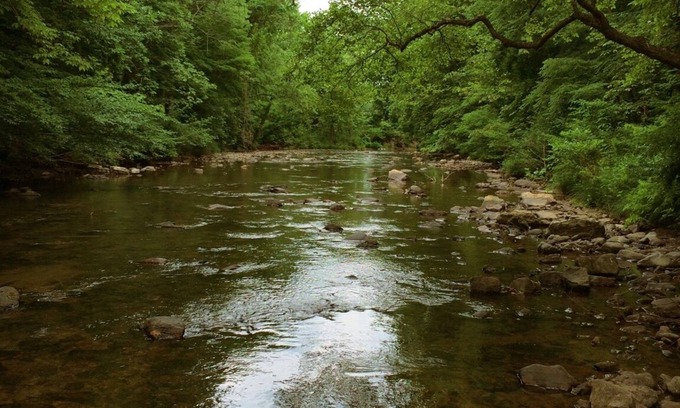 Glace Cabina | The Rock Great Secluded Cabin for Fishing Hiking Swimming on 200 Acres