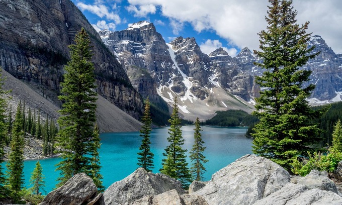 Calgary Casa | The Royal YYC - 10 min to Airport - 1.5hr to Banff