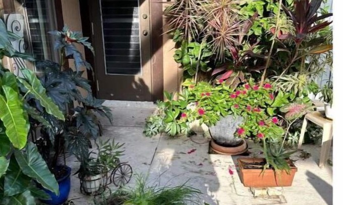 Naples Apartamento | The Secret Garden