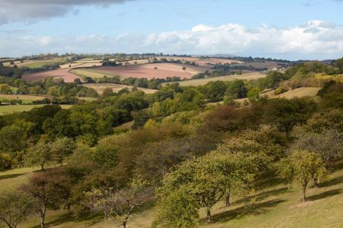 Rock Otro | The shepherds hut at abberley glamping