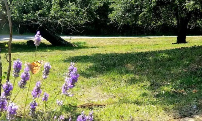 Port Angeles East Alquiler De RV | The Simple Life - camp space w/wi-fi & flexibility
