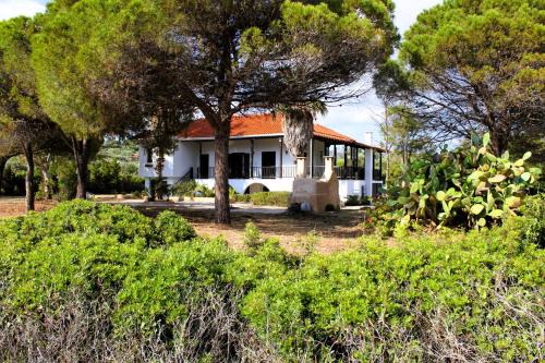 Karystos Casa | The Sisters Beach House