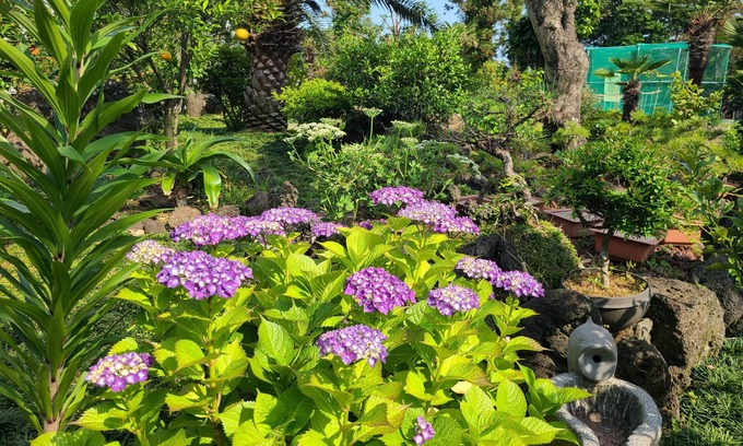 Seongsan Casa | The Some Pension