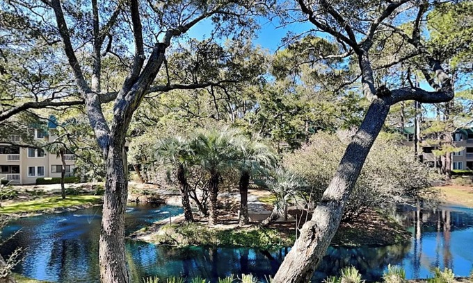 Palmetto Dunes Condominio | The Spa 1219