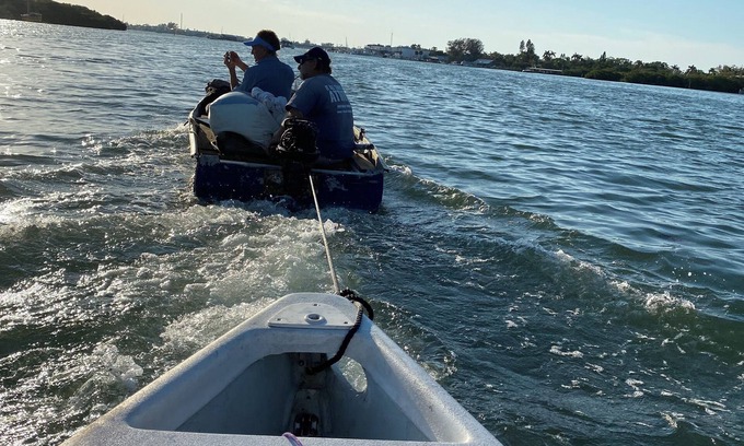 Whitney Beach Alquiler De Eote | “The Spot” Guaranteed Dolphin and Sea Life Sightings!