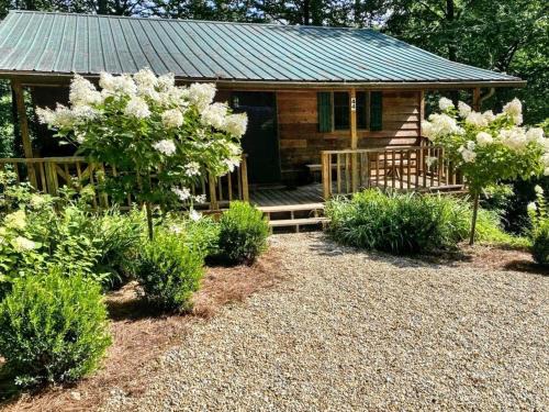 Highlands Casa | The Spotted Owl