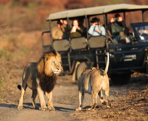 Ladysmith Cabina | The Springbok Lodge