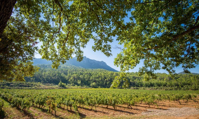 La Celle Casa | The Syrah and Chardonnay villas: 10 superb rooms in the heart of a vineyard.