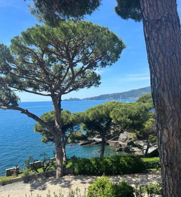 Zoagli Apartamento | The terrace on Portofino Appartamento Terrazzo Portofino