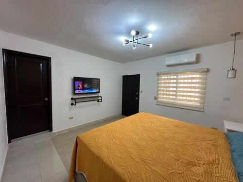 Centro Apartamento | The Tiger's Corner