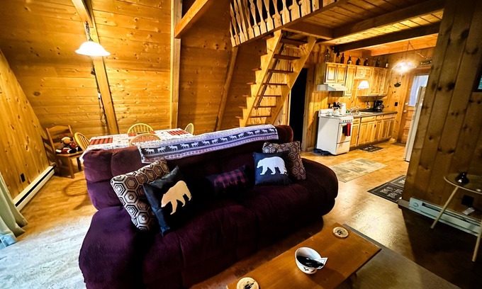 Jay Cabina | The Toasty Chalet - minutes from Whiteface Mt! Dogs welcome!