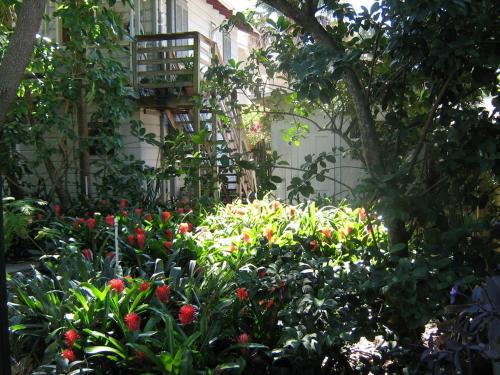 St. Petersburg - Clearwater Apartamento | The Treehouse