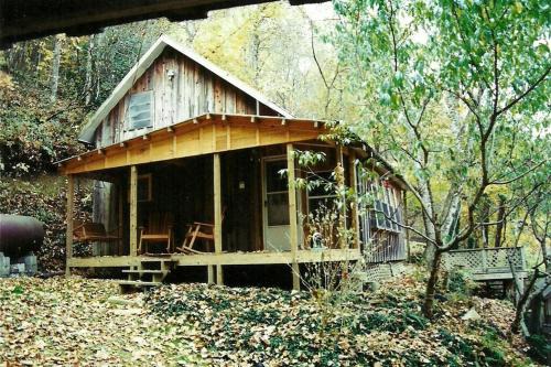 Topton Casa | The Tulip Poplar