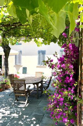 Pistoia Casa | The Tuscany Rose