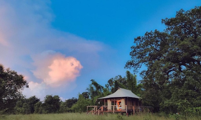 Bandhogarh Hotel | The Untamed Bandhavgarh