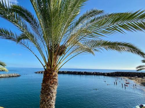 Arco da Calheta Apartamento | The Vibe Madeira Apartment 2