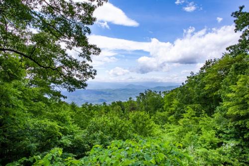Sevierville Casa | The Vision Mtn View Hot Tub Wood Fireplace