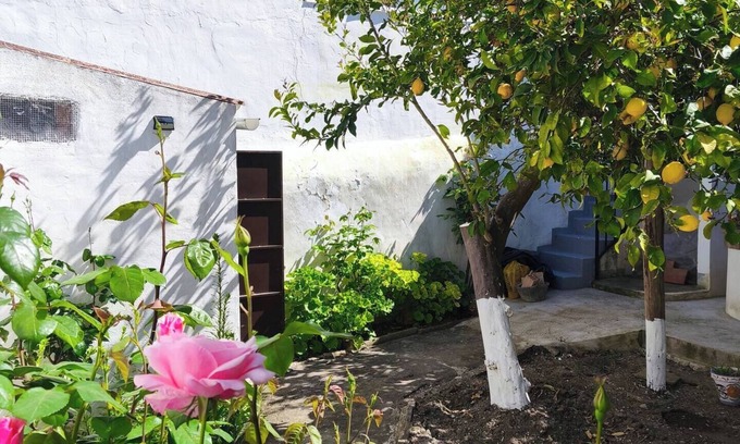 Canete la Real Casa | La Casa del Pozo