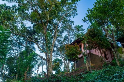 Beragala Casa | The Woods - Birding, Farming & Eco Living