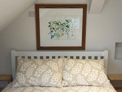 Petersfield Casa | The Workshop