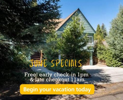 Cedar Glen Casa | TheDragon's Den Mega Cabin Sleeps 12