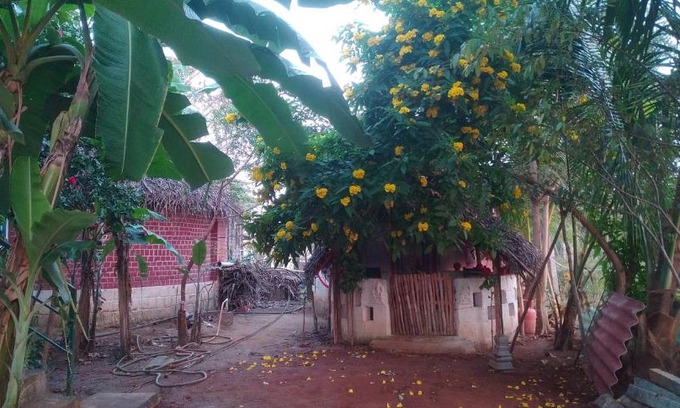 Tiruvannamalai Casa | Thiru Nakshatra Family Guest House