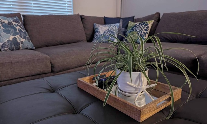 Bellview Casa | This house is a 3 bedroom(s), 2 bathrooms, located in Bellview, FL.