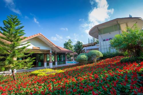 Nong Nam Daeng Complejo | Thongsathit Hill Resort Khao Yai