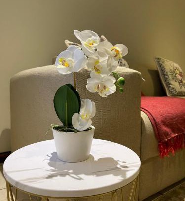 Emalahleni Apartamento | Thorntree Self Catering Apartment, Witbank