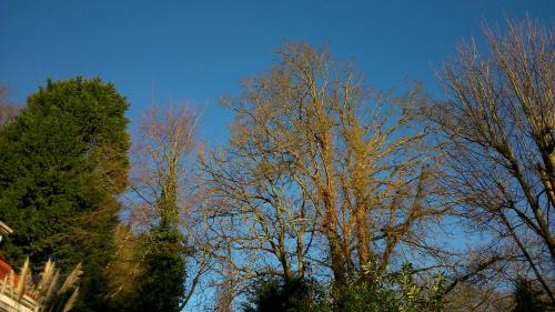 Cromer Cama Y Desayuno | Thornybank