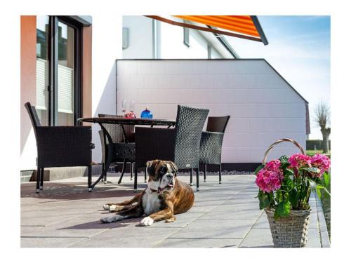 Breege Casa | Three-master house no 3