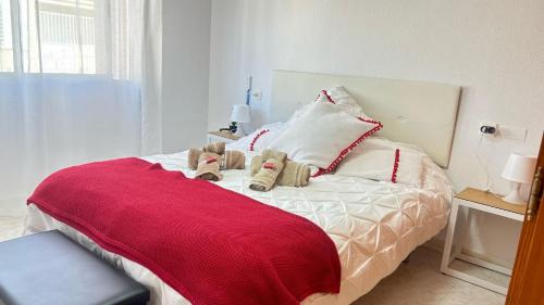 Aguilas Apartamento | Tiburón Suite