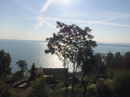 Tihany Apartamento | TIHANY (BALATON), BEST VIEW, SPACIOUS WELLNESS, CENTRAL , 50m BEACH
