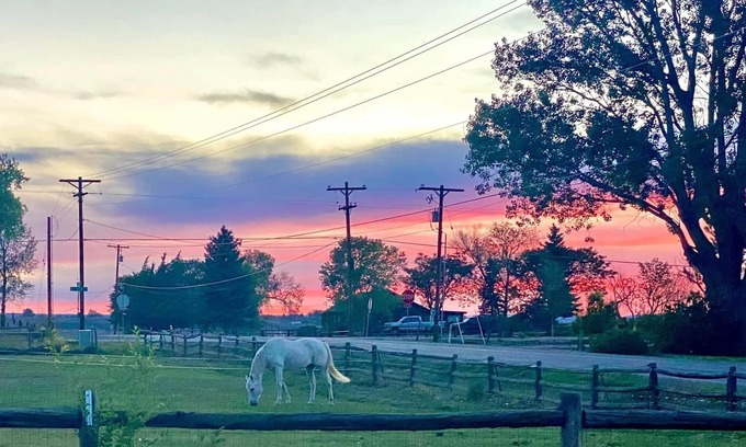 Montrose Cabaña | Tilted Rooster Ranch Guesthouse - 5 Minutes from Airport & 10 From Downtown