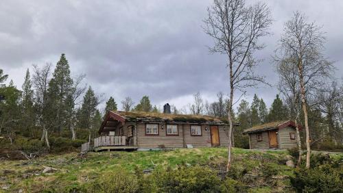 Galaa Casa | Timber Cabin With Views Near Røros
