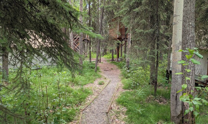 College Cabina | Treehouse "Indiana Jones"